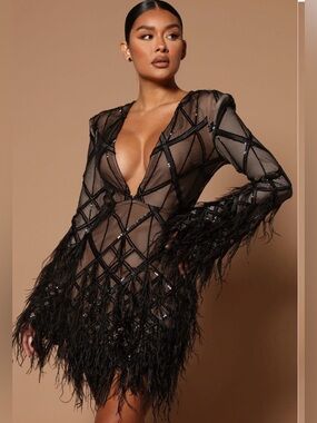 Sheer Black Feather Fringe Mini Dress